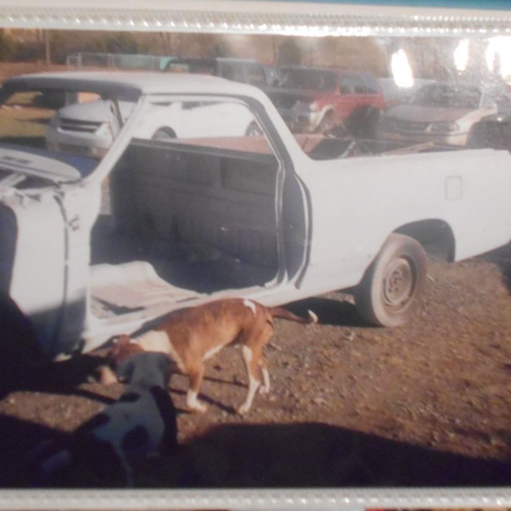 Meet your Posher, Billy